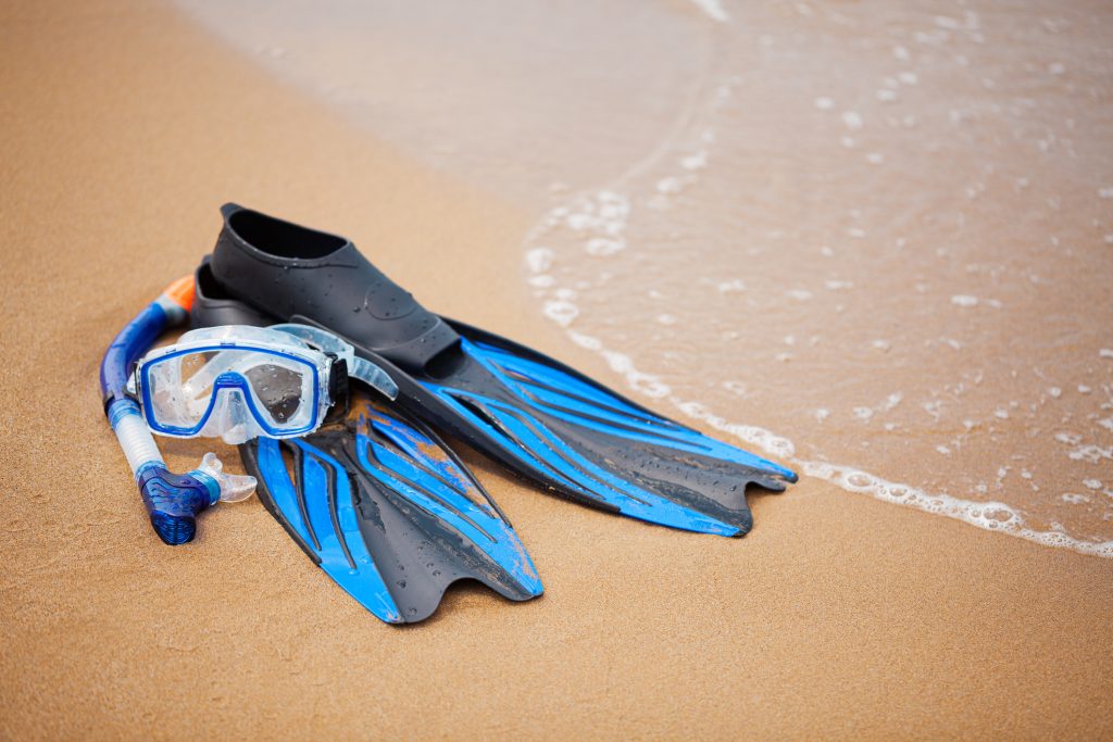 Snorkelling equipment - Maui Snorkeling