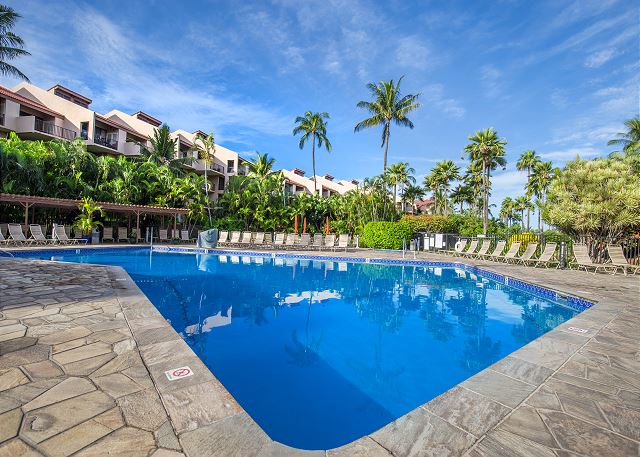 PMI Maui view of the swimming pool with palm trees