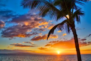 Sunset view of Kamaole Beach Park with palm tree overlooking the ocean and orange sky