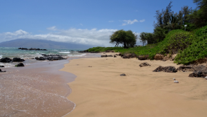 View of the sand at Kamaole Beach Park