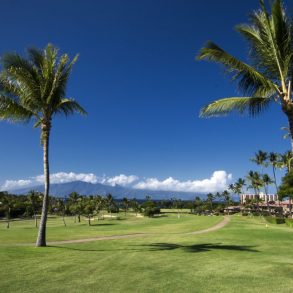Kaanapali golf course, view of the palm tree and volcano in the distance | Best Maui Golf Courses