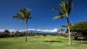 Kaanapali golf course, view of the palm tree and volcano in the distance | Best Maui Golf Courses
