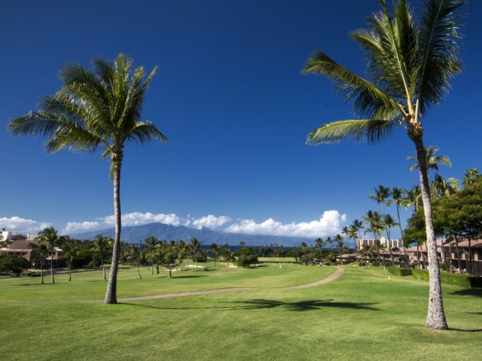Kaanapali golf course, view of the palm tree and volcano in the distance | Best Maui Golf Courses