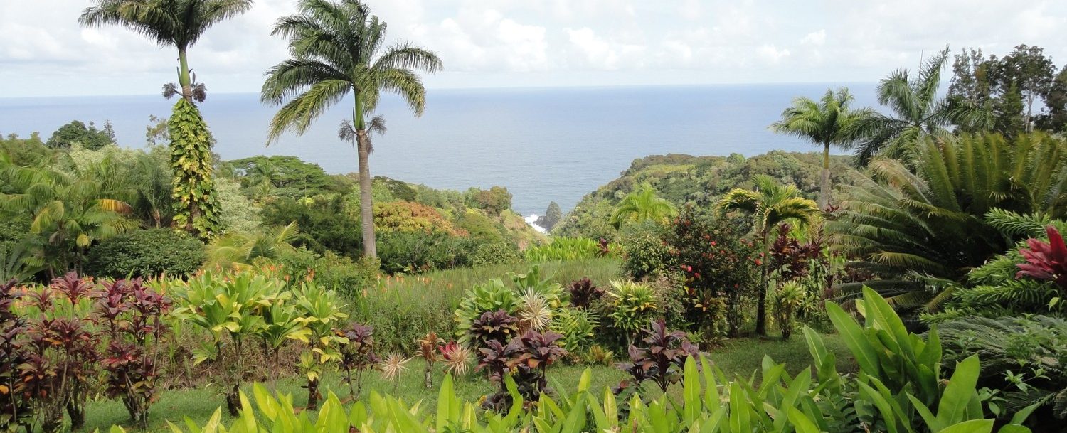View of the Maui Garden of Eden with ocean in the distance