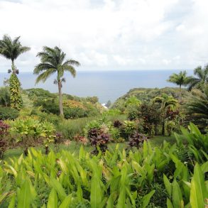 View of the Maui Garden of Eden with ocean in the distance