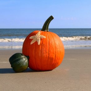 Pumpkin on the beach | Maui in October