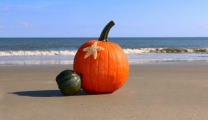 Pumpkin on the beach | Maui in October