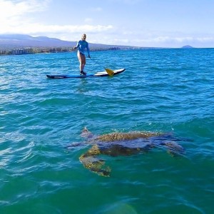 Woman paddleboarding near a turtle