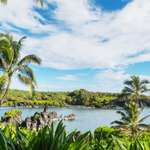 Palm trees and calm lagoon on Maui