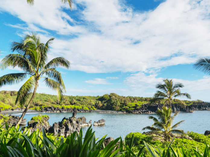 Palm trees and calm lagoon on Maui
