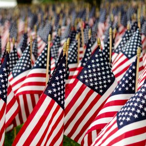 field of american flags for memorial day