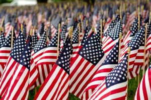 field of american flags for memorial day