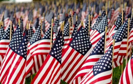field of american flags for memorial day