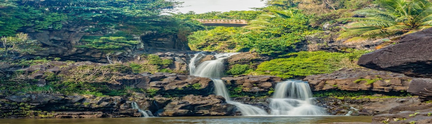 Maui Waterfall wide shot