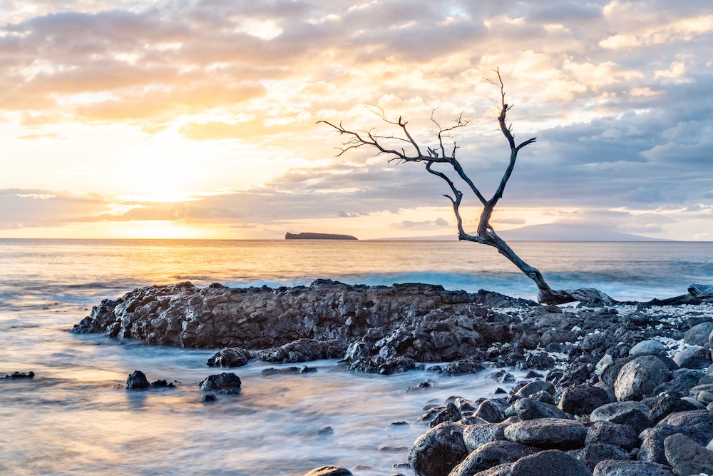 La Perouse Bay at sunset